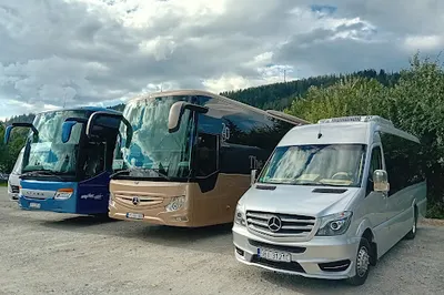 QL-Bus Tomasz Kulawiak